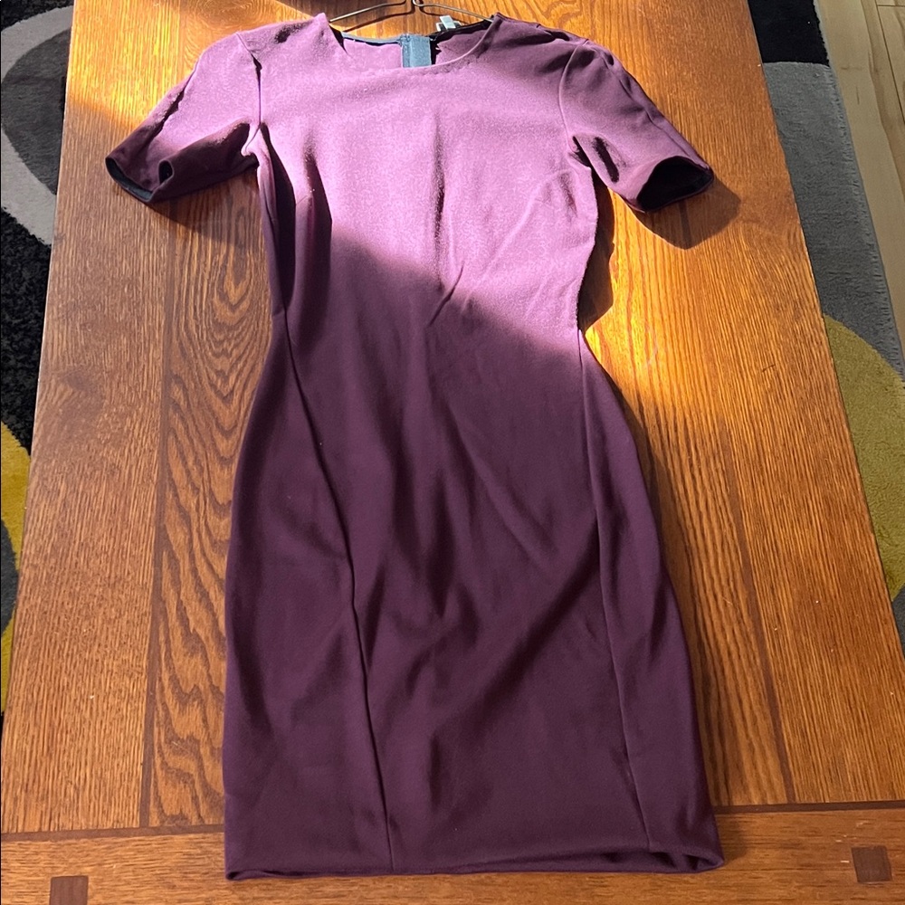 Wilfred | Women’s Size XS Rich Purple Mini Dress